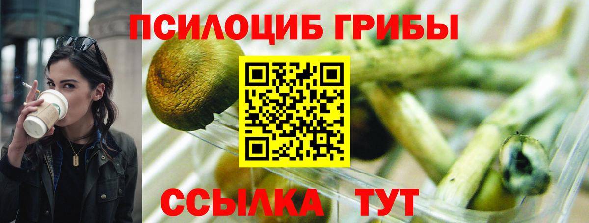Галлюциногенные грибы Psilocybe  Вход с VPN  Химки  Псилоцибиновые грибы ЛСД 