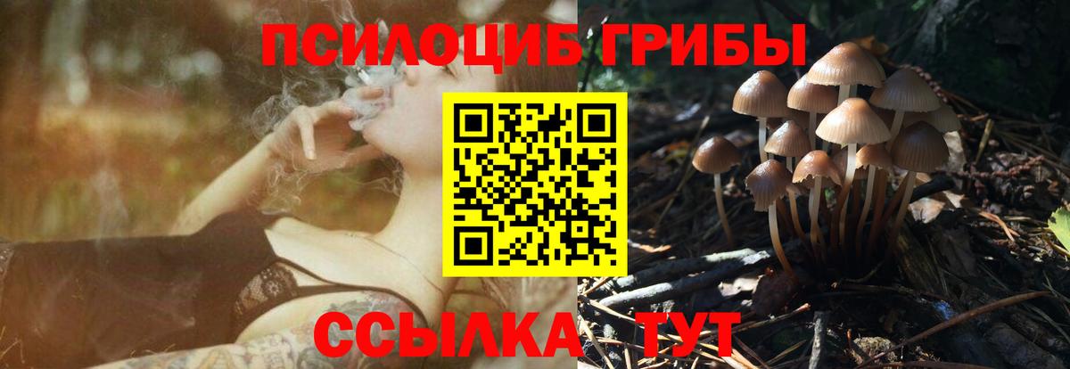 Галлюциногенные грибы GOLDEN TEACHER Химки